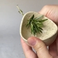 Éplucheur à herbes en poterie (Jon Hamblin Handmade®) - ACHETEZ-EN 3 ET BÉNÉFICIEZ DE 20 % DE RÉDUCTION ET DE LA LIVRAISON GRATUITE