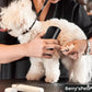🐶Multifunctional Pet Hair Detangling and Care Comb💈 Effortless Grooming, Care for Your Pet's Coat Health（50% OFF）