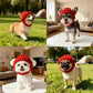 Bonnet rouge en tricot pour chien avec oreillettes – Bonnet d'hiver chaud