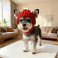Bonnet rouge en tricot pour chien avec oreillettes – Bonnet d'hiver chaud