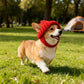 Bonnet rouge en tricot pour chien avec oreillettes – Bonnet d'hiver chaud