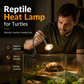 Lampe chauffante pour reptiles (tortues)