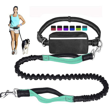 🔥🎁Promotion exceptionnelle : 50 % de réduction💥 - Offre à durée limitée !🔥Laisse pour chien réglable mains libres avec sac banane