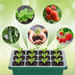 💎 60% DE RÉDUCTION ! 💎 Plateaux de Germination avec Lampe de Croissance – Contrôle Humidité, Transparent & Lumière Full-Spectrum 🌱💡