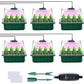 💎 60% DE RÉDUCTION ! 💎 Plateaux de Germination avec Lampe de Croissance – Contrôle Humidité, Transparent & Lumière Full-Spectrum 🌱💡