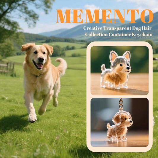 🏆DERNIER JOUR : 1 acheté, 1 offert🐶Porte-clés « Mon animal de compagnie »