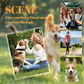🏆DERNIER JOUR : 1 acheté, 1 offert🐶Porte-clés « Mon animal de compagnie »