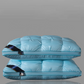 🛏️💤 PROMO -50% ! Oreiller Ergonomique Qualité Hôtel – Soutien Cervical Parfait, 8 Couleurs, 3 Hauteurs, Lavable, 48×74 cm