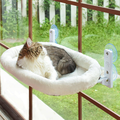 💐60% DE RÉDUCTION ! Lit Suspendu pour Chat avec Ventouses – Laissez-le Profiter du Soleil ☀️😺【Prix Spécial】