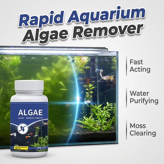 Comprimés anti-algues pour une eau limpide dans l'aquarium