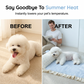 Tapis rafraîchissant d'été pour animaux de compagnie avec coussin
