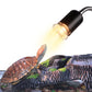 Lampe chauffante pour reptiles (tortues)