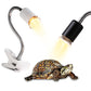 Lampe chauffante pour reptiles (tortues)