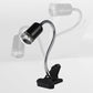 Lampe chauffante pour reptiles (tortues)