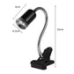 Lampe chauffante pour reptiles (tortues)