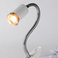 Lampe chauffante pour reptiles (tortues)