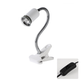 Lampe chauffante pour reptiles (tortues)