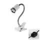 Lampe chauffante pour reptiles (tortues)